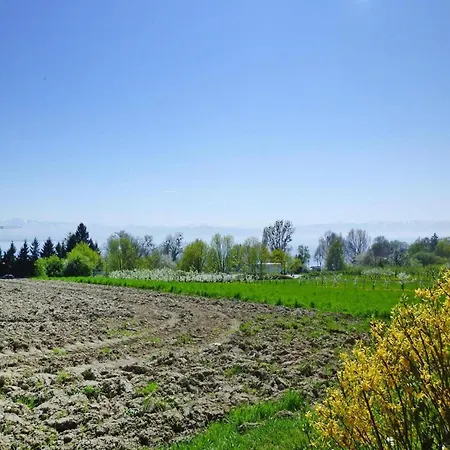 By Constance With Alps Views Apartman Immenstaad am Bodensee